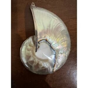 Nautilus shell pendant with silver trim